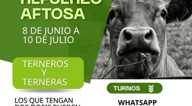 INICIO DE 2DA CAMPAÑA DE VACUNACIÓN ANTIAFTOSA – GRAL. LAS HERAS
